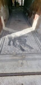 Entrada gos perro cane Casa del poeta Tragic pompeia Mosaic mosaico